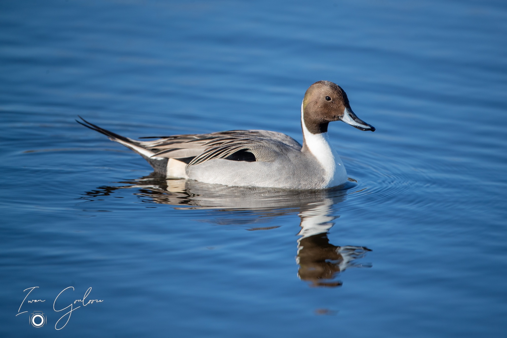 04 maart 2022 164810 1DX44593